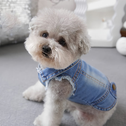 👖 Paw Chic Denim Vest 🐾🍂