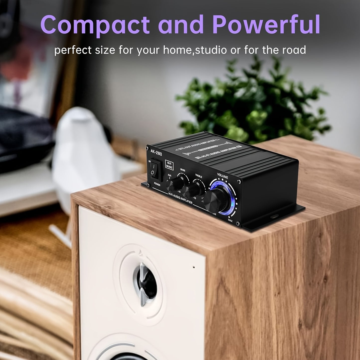 🎶 Power Pulse: 12V Mini Hi-Fi Audio Amplifier 🔊