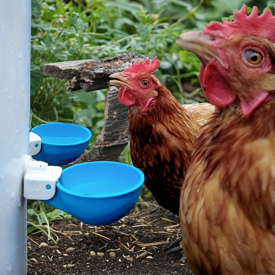 🐔 Farm Fresh Automatic Waterer Cups - 4 Pack 🥤🌾