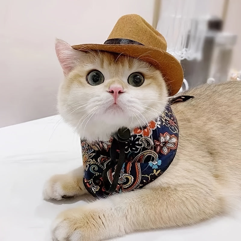 🤠 Paw poke Cowboy Hat 🐾👒