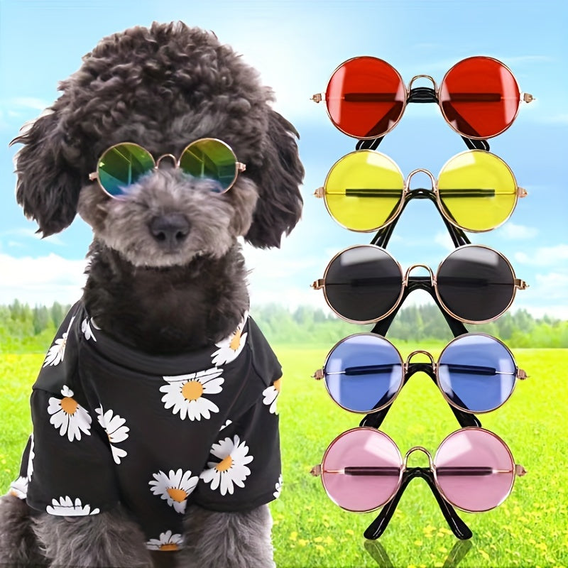 😎 Teddy’s Trendy Round Pet Sunglasses 🐾🌟