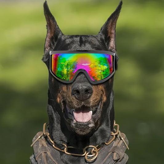 🕶️ Paw Defender All-Breed Dog Goggles 🌊💨