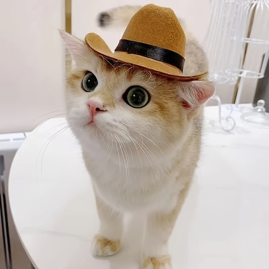 🤠 Paw poke Cowboy Hat 🐾👒